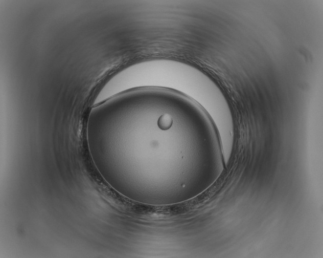 X0000112770308200909031616