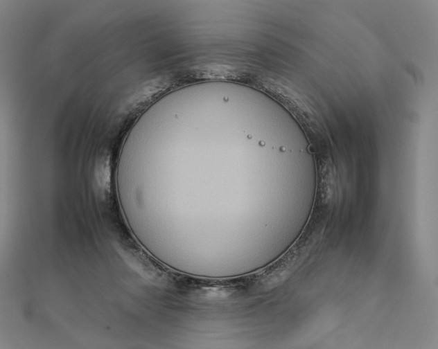 X0000112770310200909031616