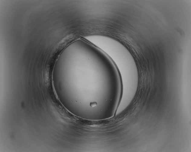 X0000112770312200909031616