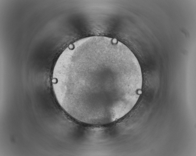 X0000112770313200909031616