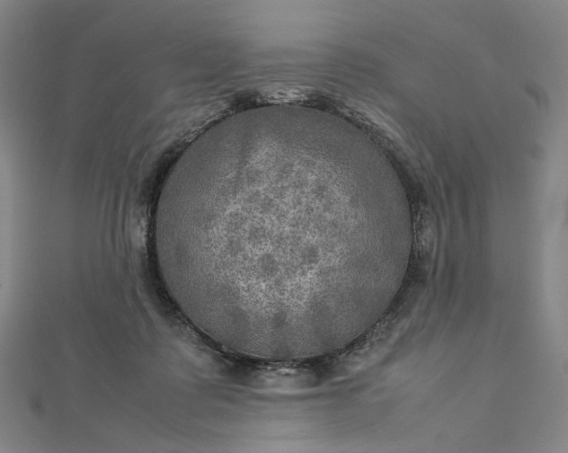 X0000112770315200909031616