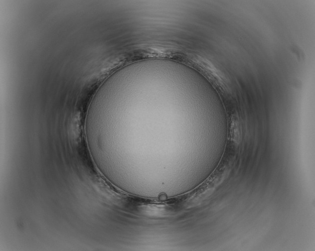 X0000112770318200909031616