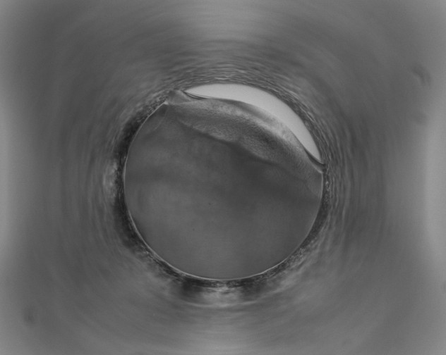 X0000112770319200909031616