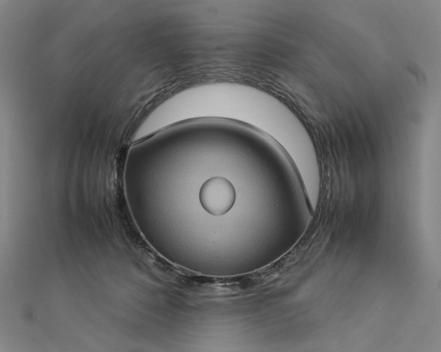 X0000112770320200909031616