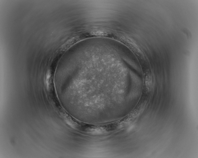 X0000112770322200909031615