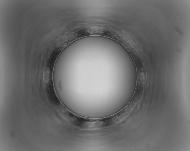 X0000112770323200909031615