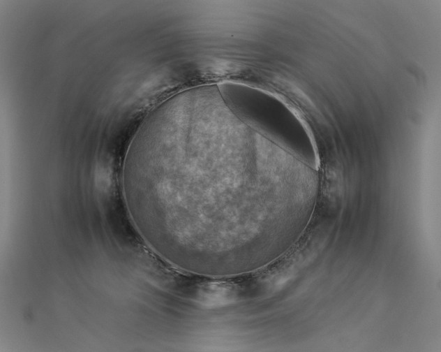 X0000112770324200909031615