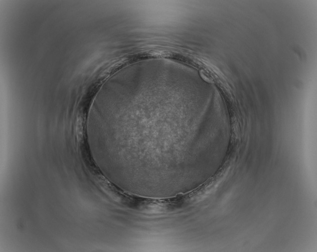 X0000112770325200909031615