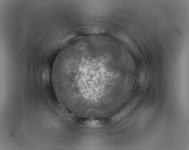 X0000112770326200909031615