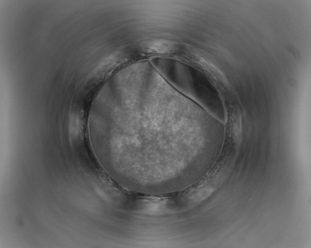 X0000112770328200909031615