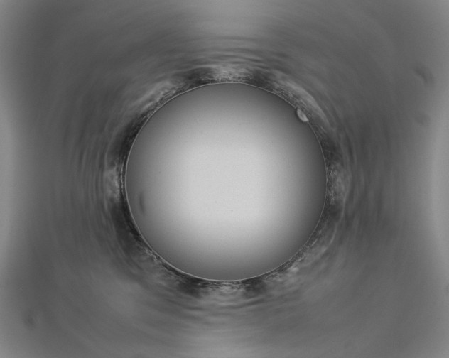 X0000112770329200909031615