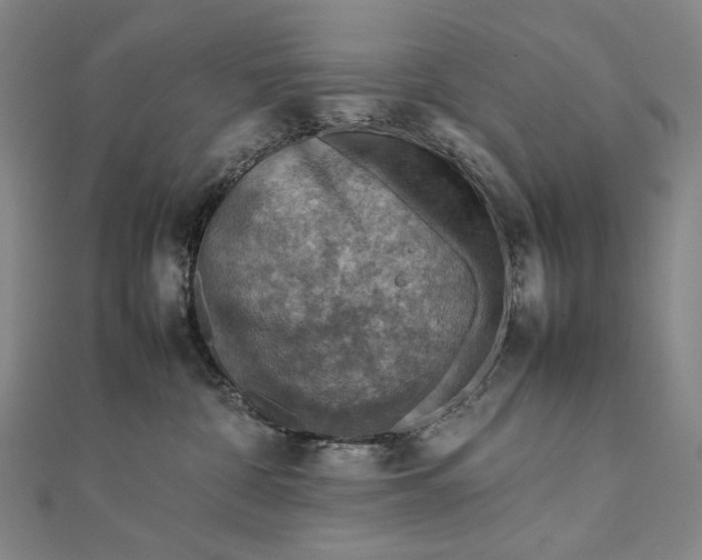 X0000112770332200909031615