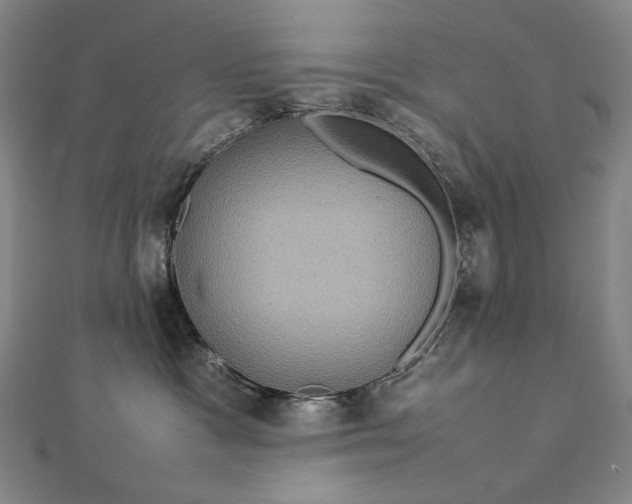 X0000112770333200909031615