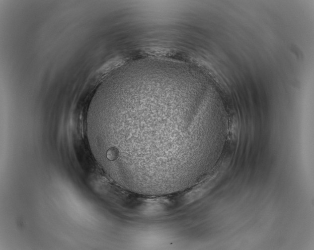 X0000112770334200909031615