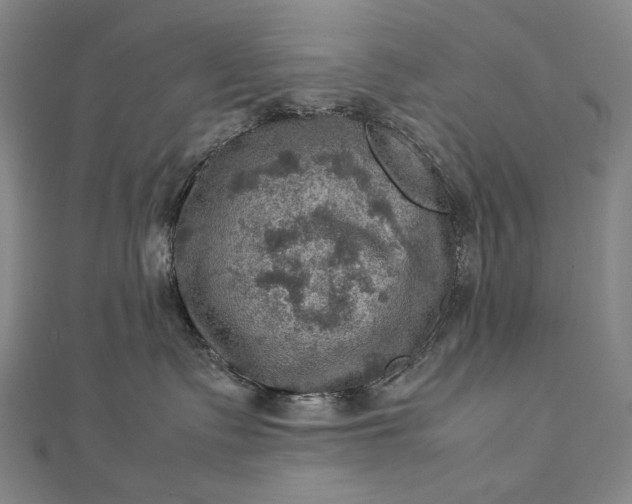 X0000112770335200909031615