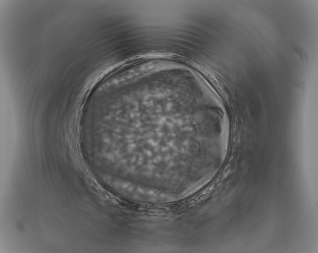 X0000112770337200909031615