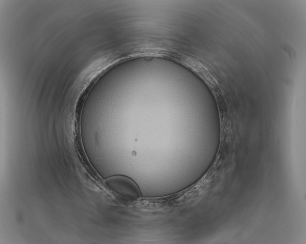 X0000112770338200909031615