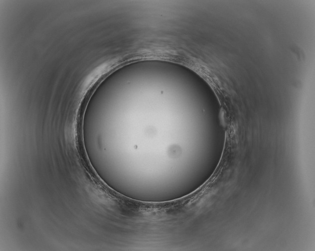 X0000112770340200909031615