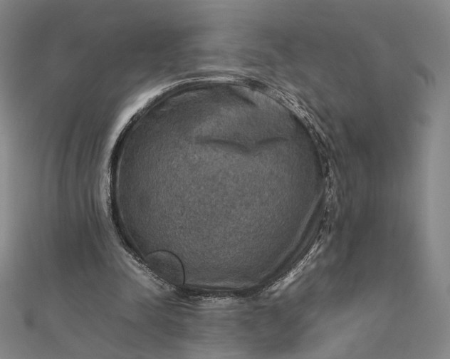 X0000112770342200909031615