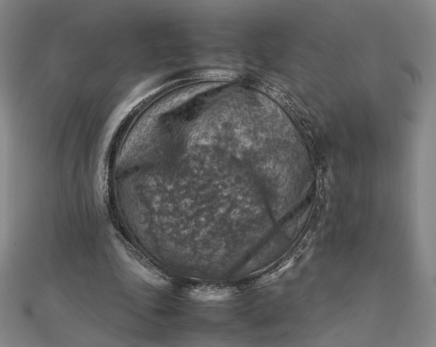 X0000112770343200909031615