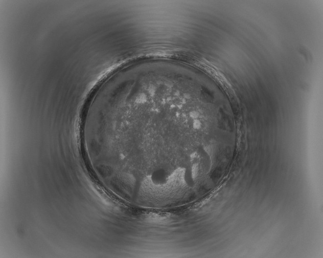 X0000112770346200909031615