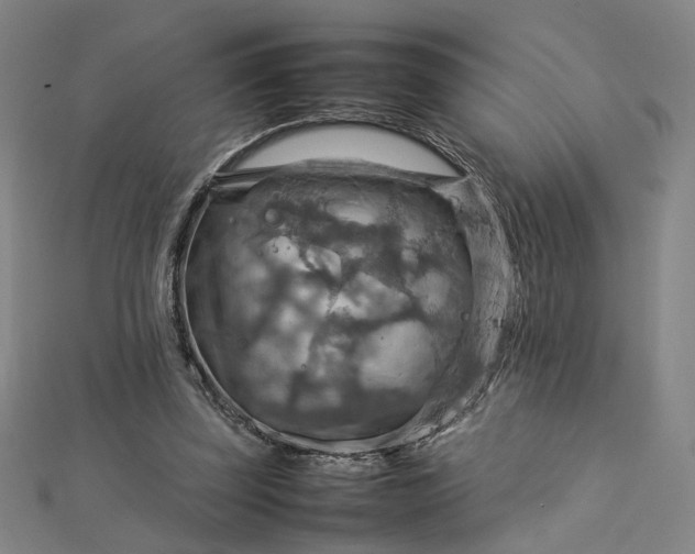 X0000112770347200909031615