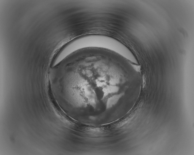 X0000112770349200909031615