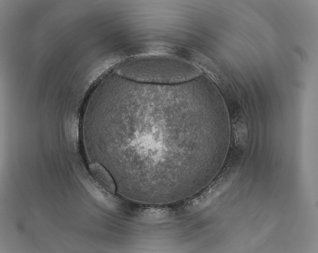 X0000112770350200909031615