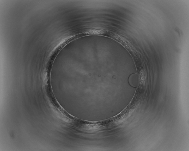 X0000112770351200909031615