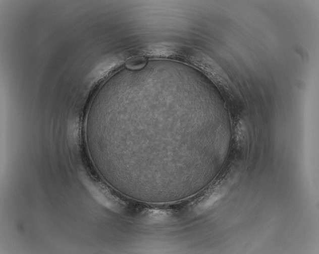 X0000112770352200909031615