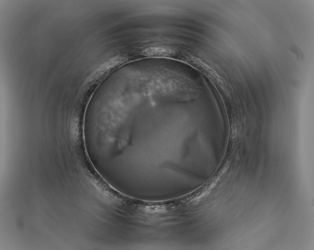 X0000112770353200909031615