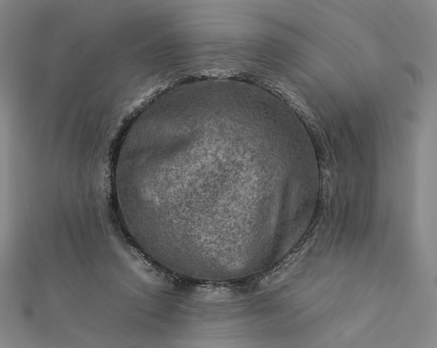 X0000112770354200909031615