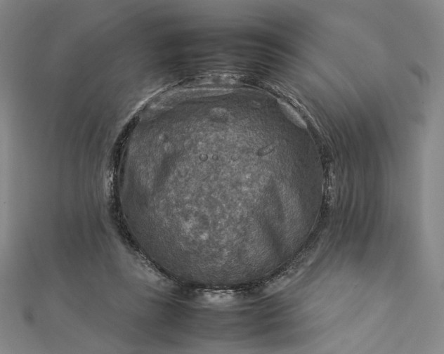 X0000112770355200909031615