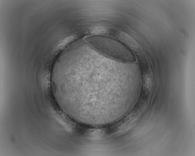 X0000112770356200909031615