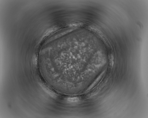 X0000112770357200909031615