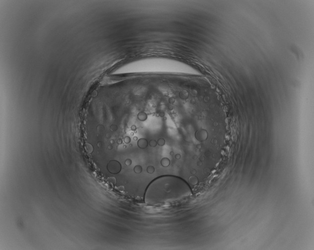 X0000112770359200909031615