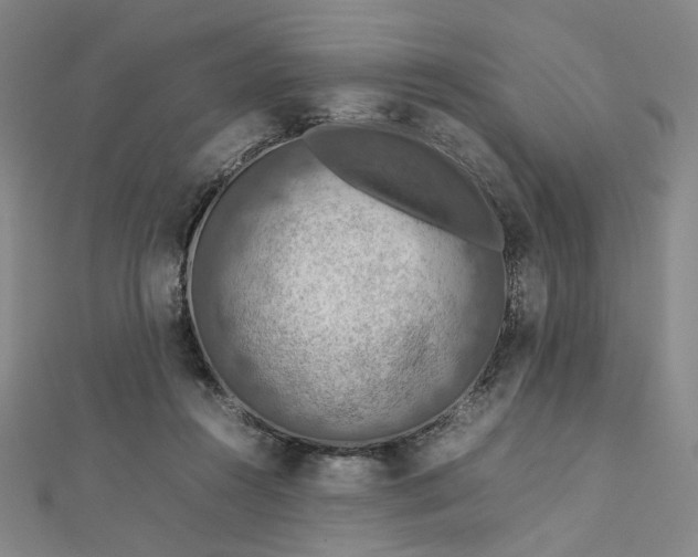 X0000112770360200909031615