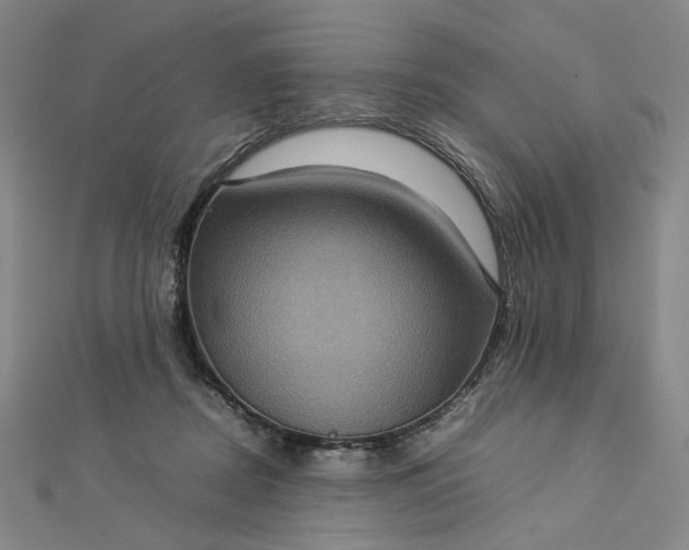 X0000112770362200909031615