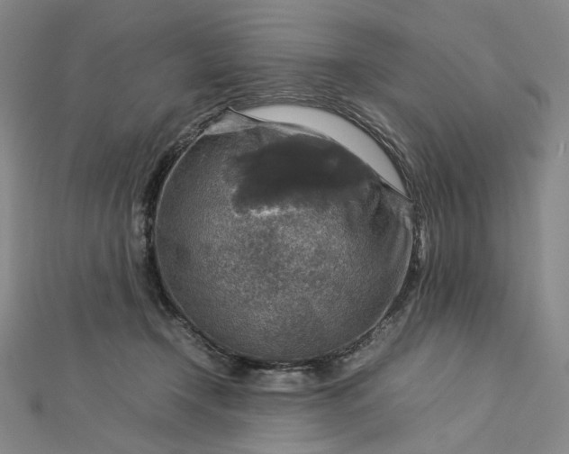 X0000112770366200909031615