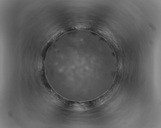 X0000112770367200909031615