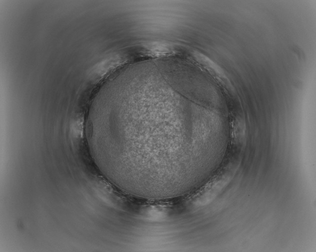 X0000112770368200909031615