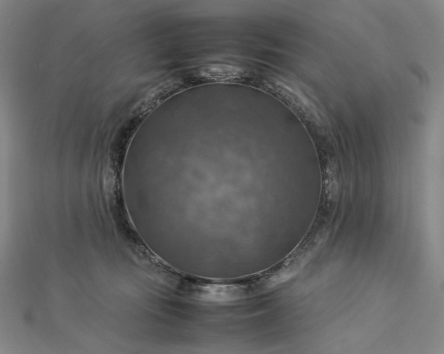 X0000112770371200909031615