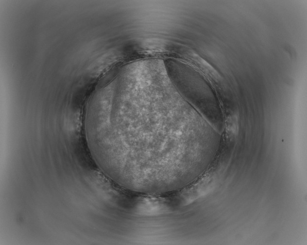 X0000112770372200909031615