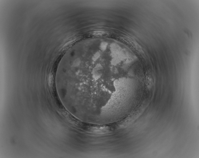 X0000112770375200909031615