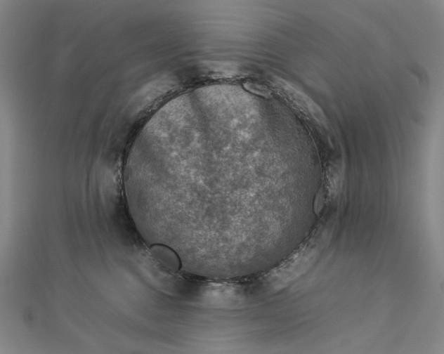 X0000112770376200909031615