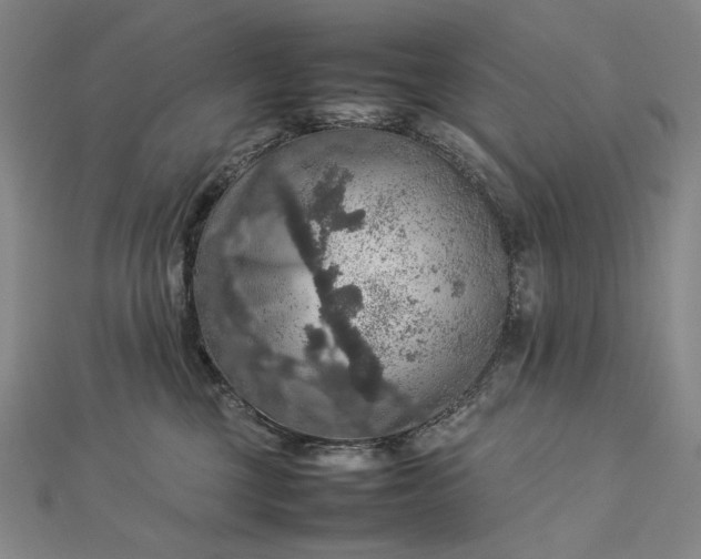 X0000112770377200909031615