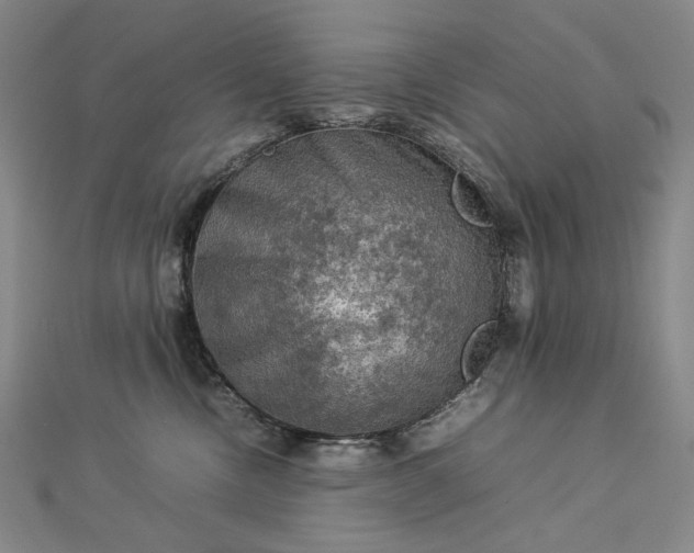 X0000112770378200909031615