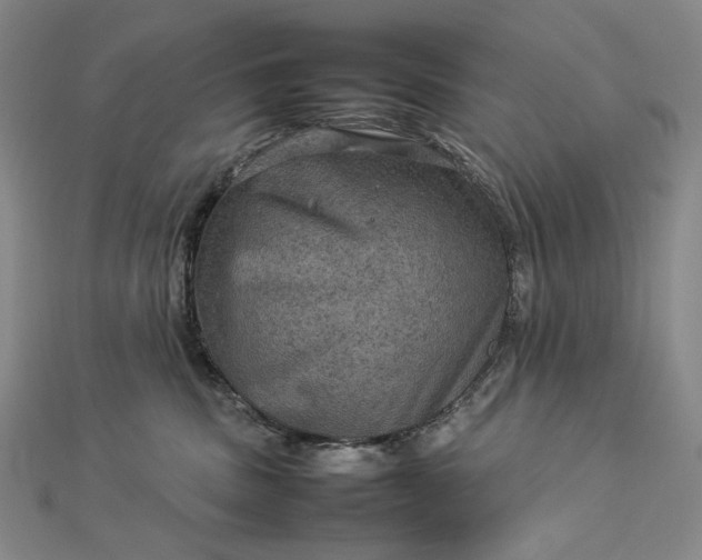 X0000112770379200909031615