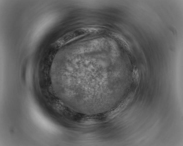 X0000112770381200909031615