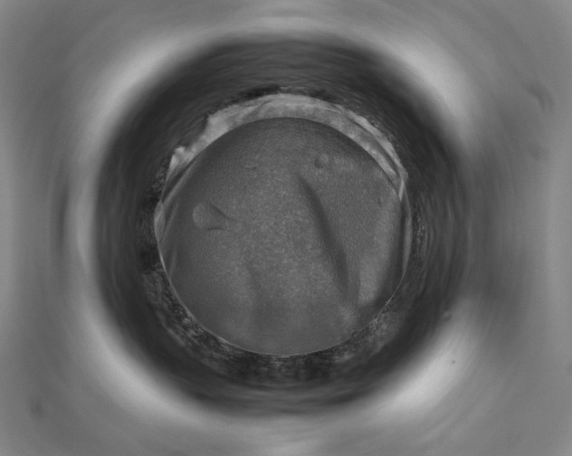 X0000112770383200909031615